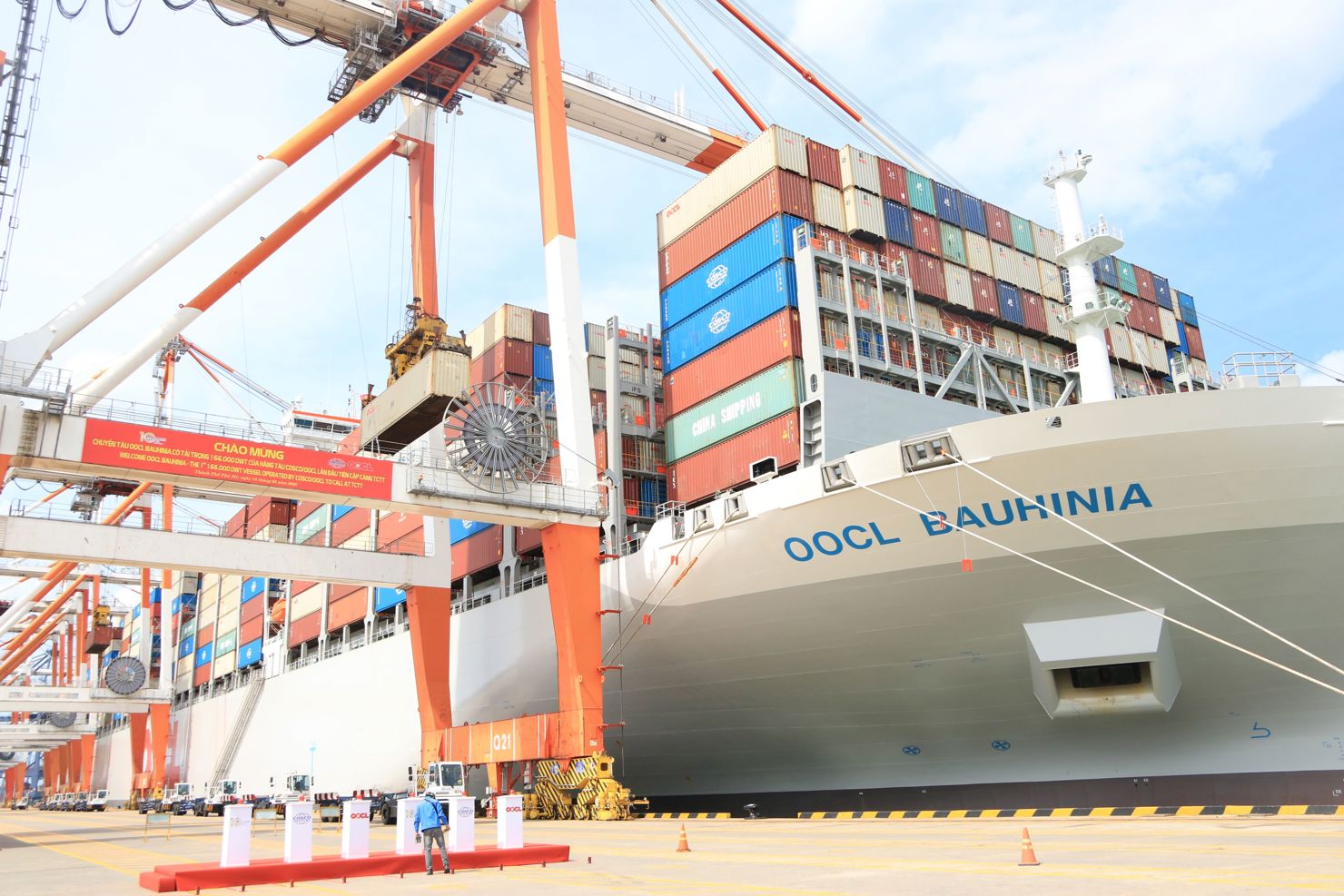 Cảng T&acirc;n Cảng - C&aacute;i M&eacute;p Thị Vải (TCTT) đ&oacute;n t&agrave;u OOCL Bauhinia, tải trọng 165.311​ DWT lần đầu ti&ecirc;n cập cảng l&agrave;m h&agrave;ng
