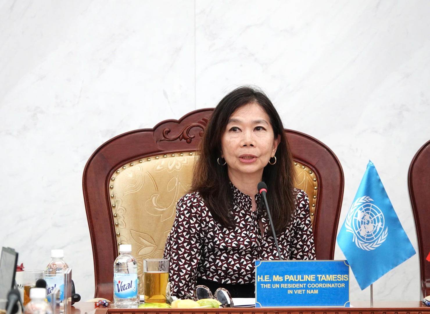 Bà Pauline Tamesis- Điều phối viên thường trú Liên Hợp quốc.