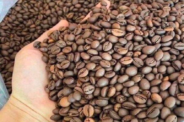 Xuất khẩu cà phê lập kỷ lục mới, chạm mốc 6 tỷ USD