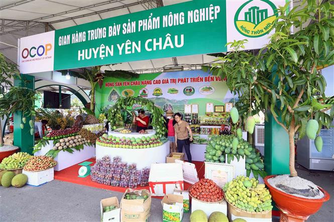 Các sản phẩm OCOP với chất lượng cao, nguồn gốc xuất xứ rõ ràng luôn nhận được sự đánh giá cao của người tiêu dùng 