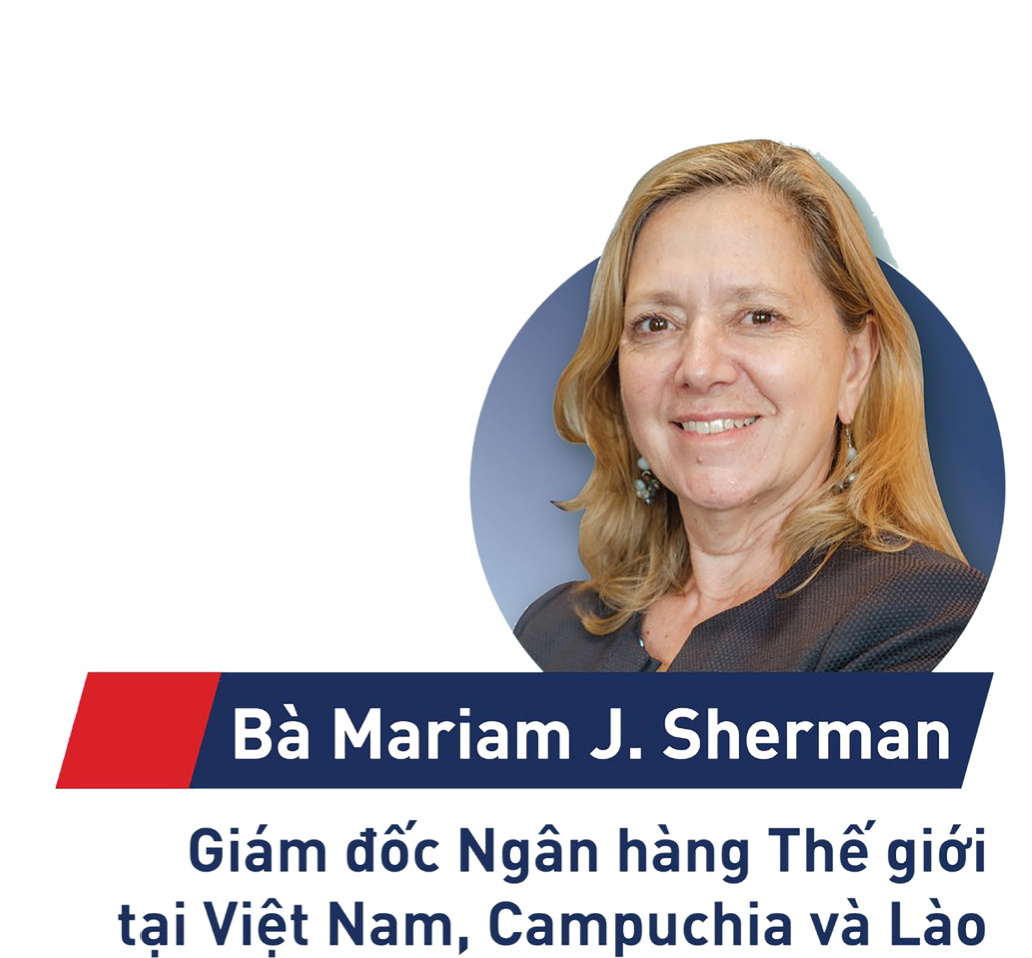 Những ưu tiên chiến lược cho Việt Nam trong 20 năm tới - Ảnh 1