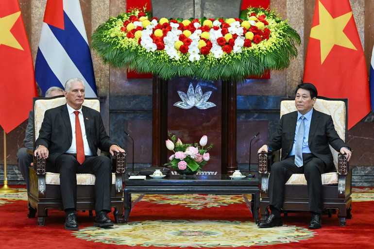Bí thư Thứ nhất, Chủ tịch nước Cuba Miguel Diaz-Canel Bermudez hội kiến Chủ tịch nước Lương Cường