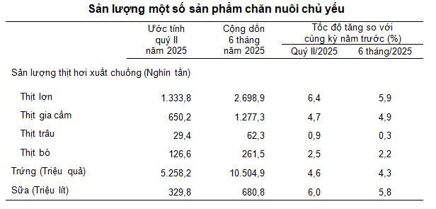 Tình hình kinh tế - xã hội quý II và 6 tháng đầu năm 2025 - Ảnh 1