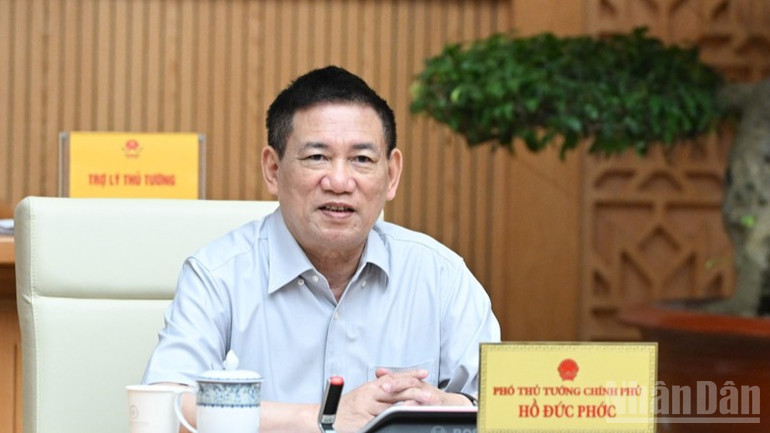 Phó Thủ tướng Hồ Đức Phớc phát biểu tại phiên họp. (Ảnh: Trần Hải)