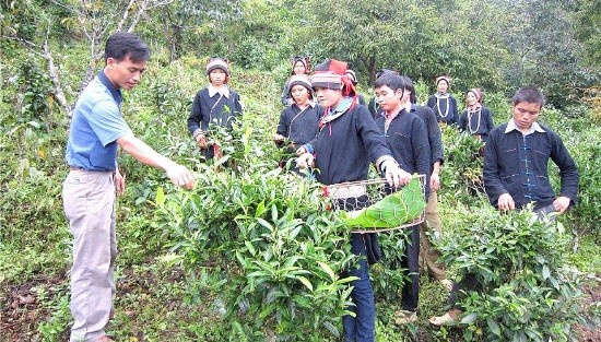 Cán bộ cơ sở phải là người khơi dậy và phát huy nội lực trong công cuộc xây dựng nông thôn mới