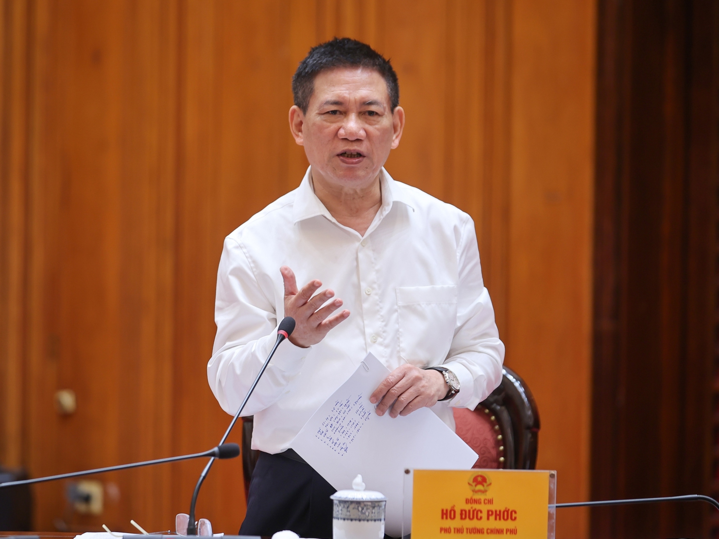 Ph&oacute; Thủ tướng Ch&iacute;nh phủ Hồ Đức Phớc ph&aacute;t biểu tại cuộc họp. Ảnh: VGP/Nhật Bắc