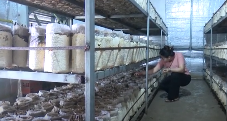 Đồng Nai trở thành điểm sáng trong công tác giảm nghèo đa chiều với nhiều chính sách hỗ trợ và an sinh
