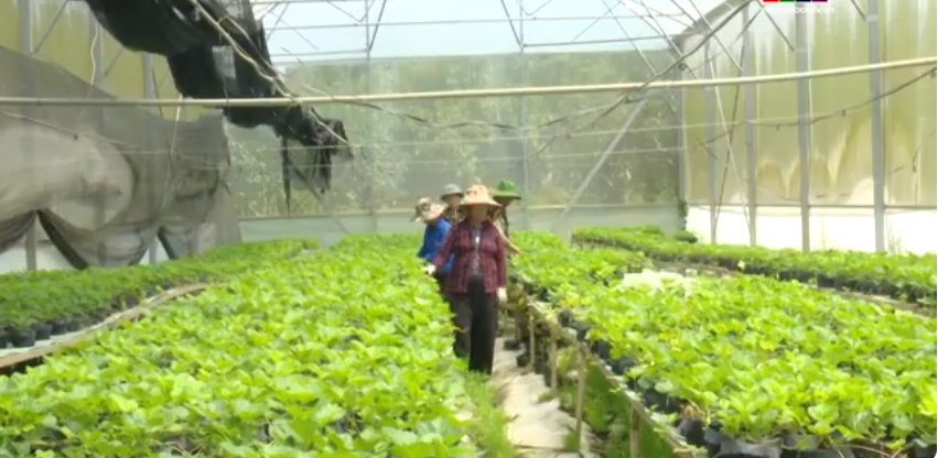 Ph&aacute;t triển n&ocirc;ng nghiệp theo m&ocirc; h&igrave;nh kinh tế tuần ho&agrave;n