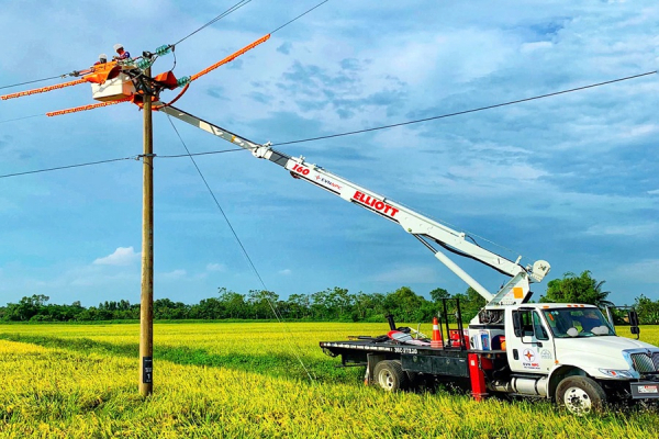 EVNNPC bảo tr&igrave; bảo dưỡng hệ thống lưới điện.