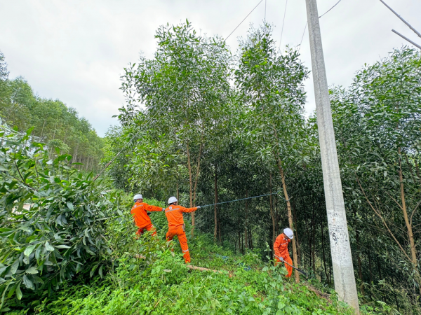Đội Quản l&yacute; điện lực khu vực Văn L&atilde;ng (PC Lạng Sơn) ph&aacute;t tuyến, xử l&yacute; c&acirc;y c&oacute; nguy cơ ng&atilde; đổ v&agrave;o đường d&acirc;y điện.