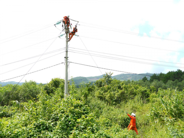 Đội Quản l&yacute; điện lực khu vực Văn L&atilde;ng (PC Lạng Sơn) ph&aacute;t tuyến, xử l&yacute; c&acirc;y c&oacute; nguy cơ ng&atilde; đổ v&agrave;o đường d&acirc;y điện.