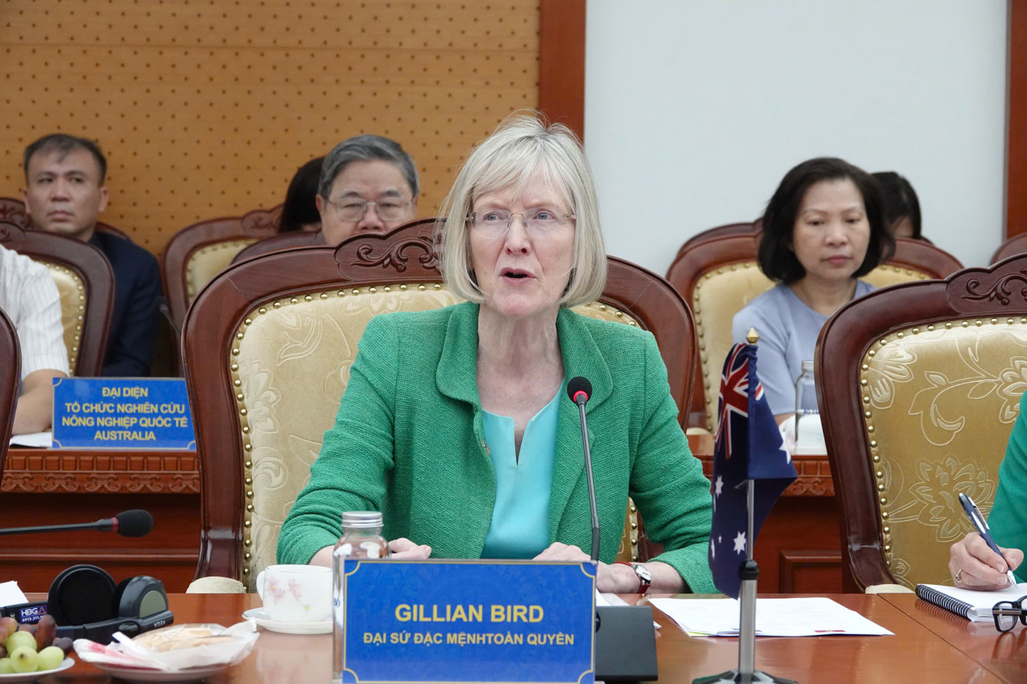 B&agrave; Gillian Bird chia sẻ tại buổi đối thoại.