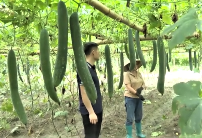 Nông nghiệp Lai Châu đạt nhiều kết quả tích cực