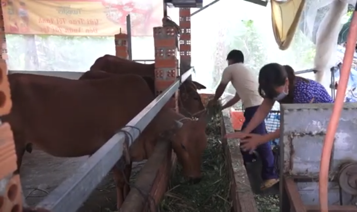 Nguồn vốn chính sách giúp nhiều hộ nghèo tại Đồng Nai có sinh kế bền vững, vươn lên thoát nghèo