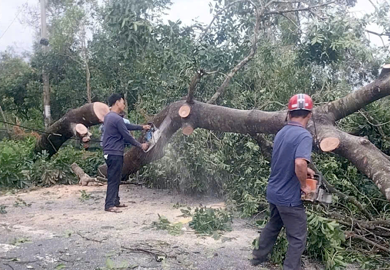Lực lượng chức năng xử l&yacute; c&acirc;y xanh g&atilde;y đổ ngang tr&ecirc;n c&aacute;c tuyến đường