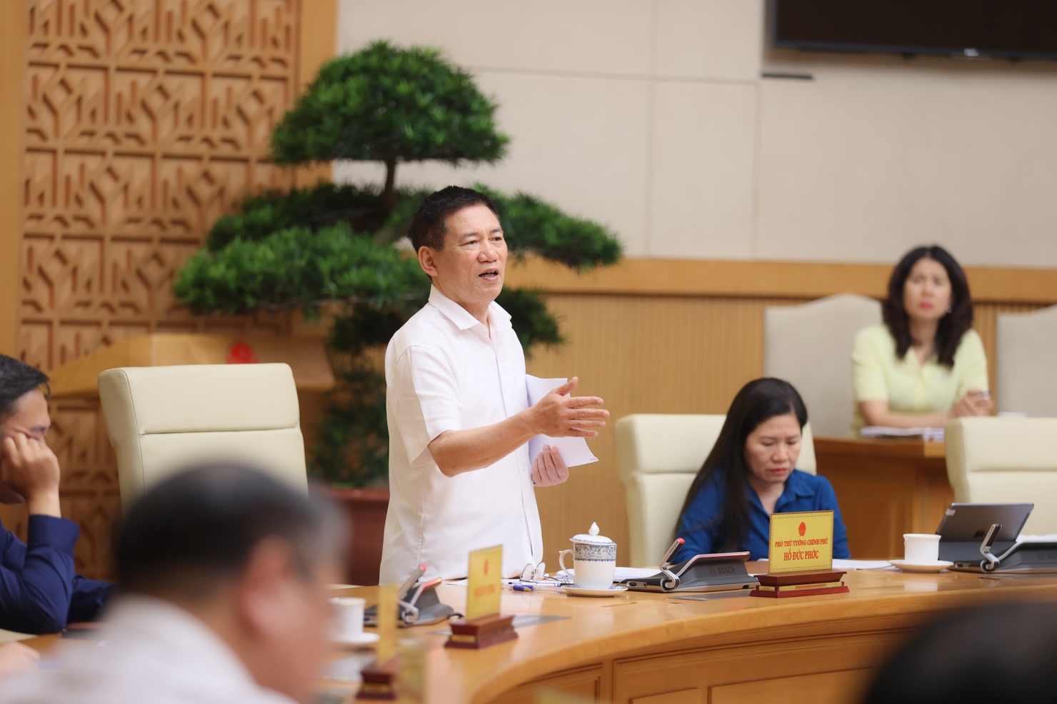 Phó Thủ tướng Chính phủ Hồ Đức Phớc chủ trì cuộc họp.
