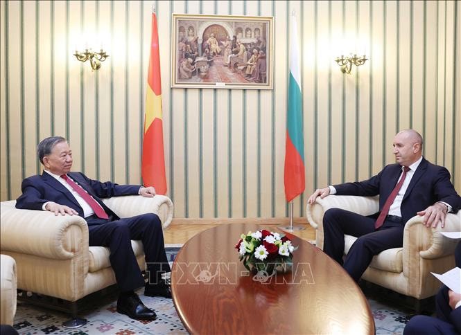 Tổng Bí thư Tô Lâm và Tổng thống Cộng hòa Bulgaria Rumen Radev hội đàm hẹp. Ảnh: Thống Nhất/TTXVN.