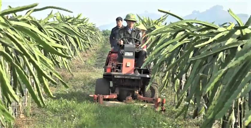 Khoa học công nghệ – chìa khóa cho nông nghiệp bền vững.