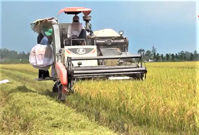 Đồng Tháp trở thành hình mẫu sản xuất nông nghiệp hiện đại.
