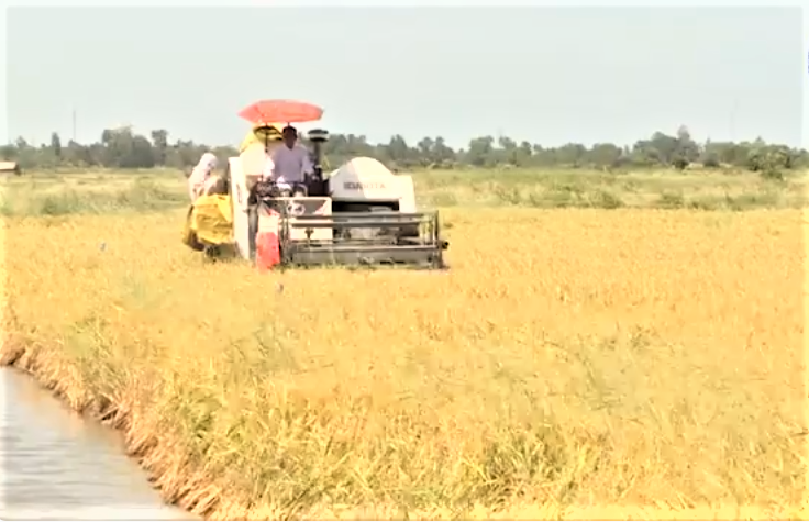 Cơ giới hóa đang tạo nên diện mạo mới cho nông nghiệp Cà Mau.