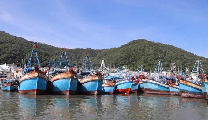 Từ đầu năm 2025 đến nay, TP. Hồ Chí Minh chưa ghi nhận trường hợp tàu cá nào bị nước ngoài bắt giữ