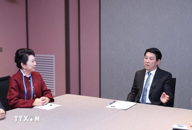 Chủ tịch nước Lương Cường tiếp Tiến sỹ Lý Lợi, Người sáng lập Tập đoàn MEBO. Ảnh: Lâm Khánh/TTXVN.  