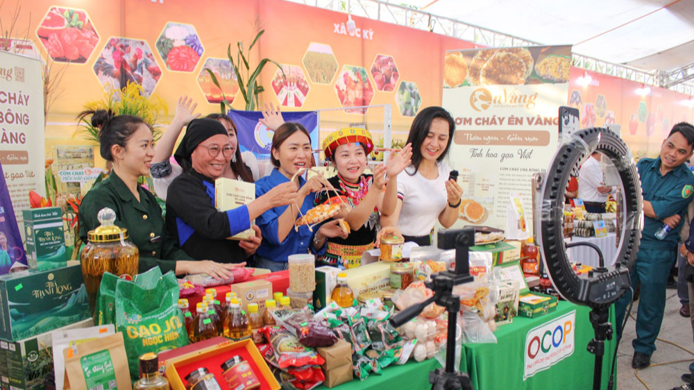 Hợp tác xã đang thích ứng với chuyển đổi số mang lại lợi ích kinh tế cao.