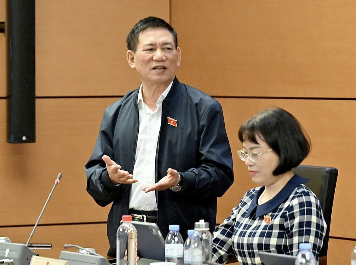 Ph&oacute; Thủ tướng Ch&iacute;nh phủ Hồ Đức Phớc ph&aacute;t biểu tại tổ.