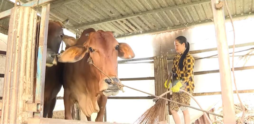 Nhờ sự hỗ trợ của Chương tr&igrave;nh MTQG giảm ngh&egrave;o bền vững, nhiều hộ d&acirc;n tỉnh Đồng Th&aacute;p đ&atilde; ph&aacute;t triển kinh tế, vươn l&ecirc;n tho&aacute;t ngh&egrave;o