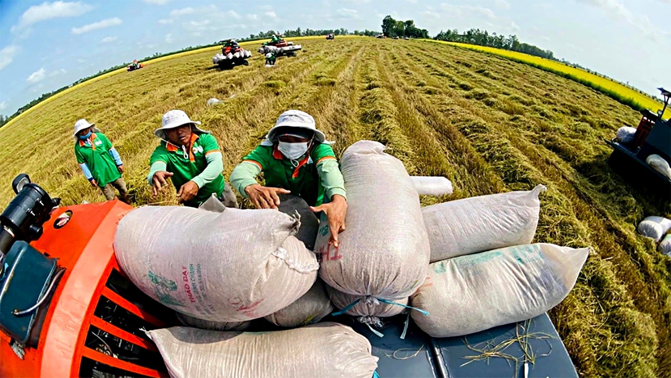 Cơ cấu thị trường xuất khẩu của gạo Việt đ&atilde; c&oacute; sự thay đổi r&otilde; n&eacute;t trong thời gian qua