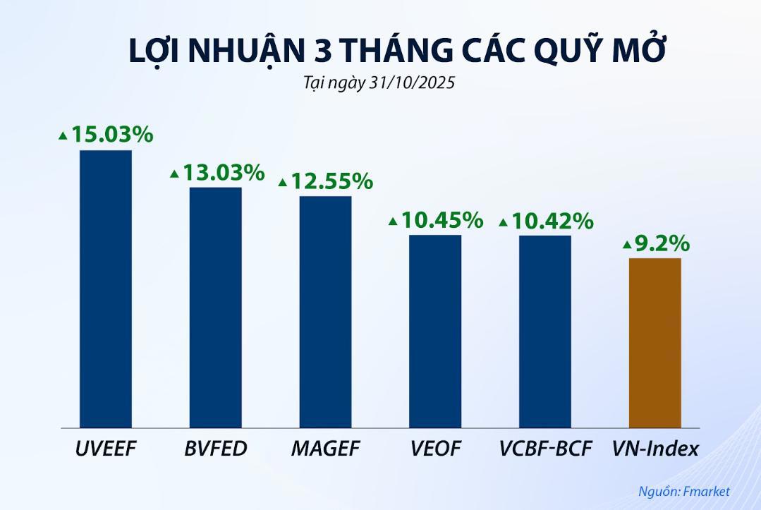 Nhiều quỹ cổ phiếu c&oacute; hiệu suất tốt hơn so với VN-Index.