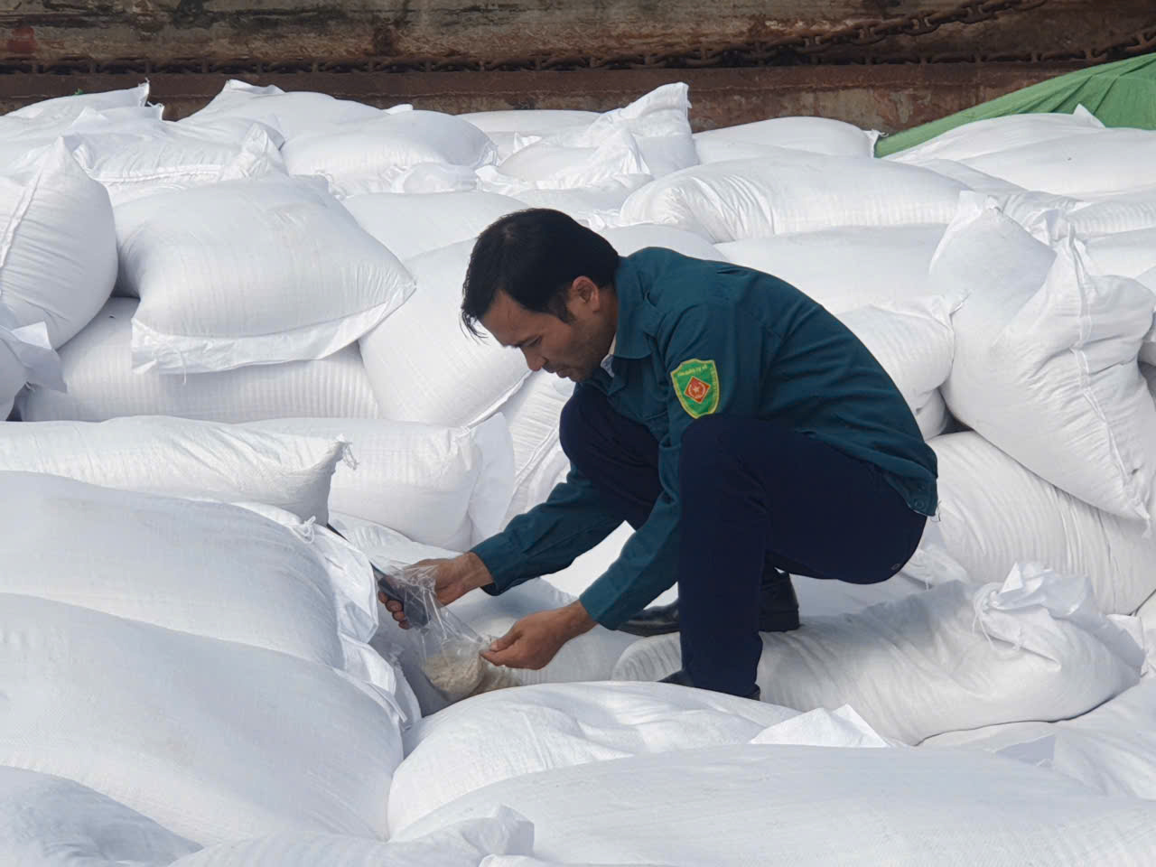 C&aacute;n bộ c&ocirc;ng chức Chi cục DTNN khu vực III lấy mẫu, kiểm tra chất lượng gạo nhập kho.&nbsp;