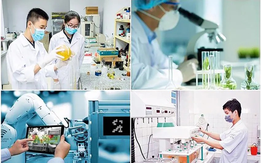 C&aacute;c chuy&ecirc;n gia kiến nghị cần c&oacute; khung ph&aacute;p l&yacute; linh hoạt th&ocirc;ng qua cơ chế thử nghiệm (sandbox) cho c&aacute;c lĩnh vực ưu ti&ecirc;n trong SHTP. Ảnh: TL