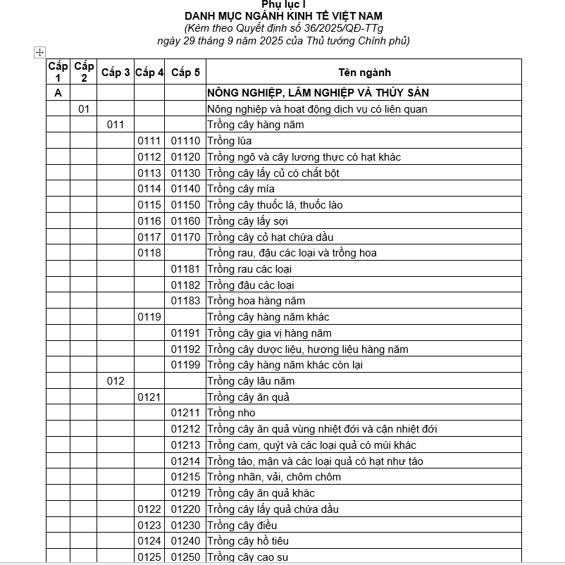 Một phần Danh mục ng&agrave;nh kinh tế (chụp từ văn bản)