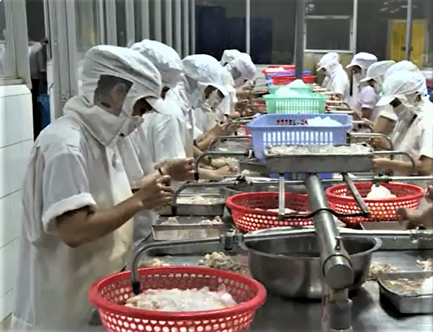 Việt Nam xuất khẩu n&ocirc;ng, l&acirc;m, thủy sản duy tr&igrave; mức tăng trưởng tr&ecirc;n 10%/năm