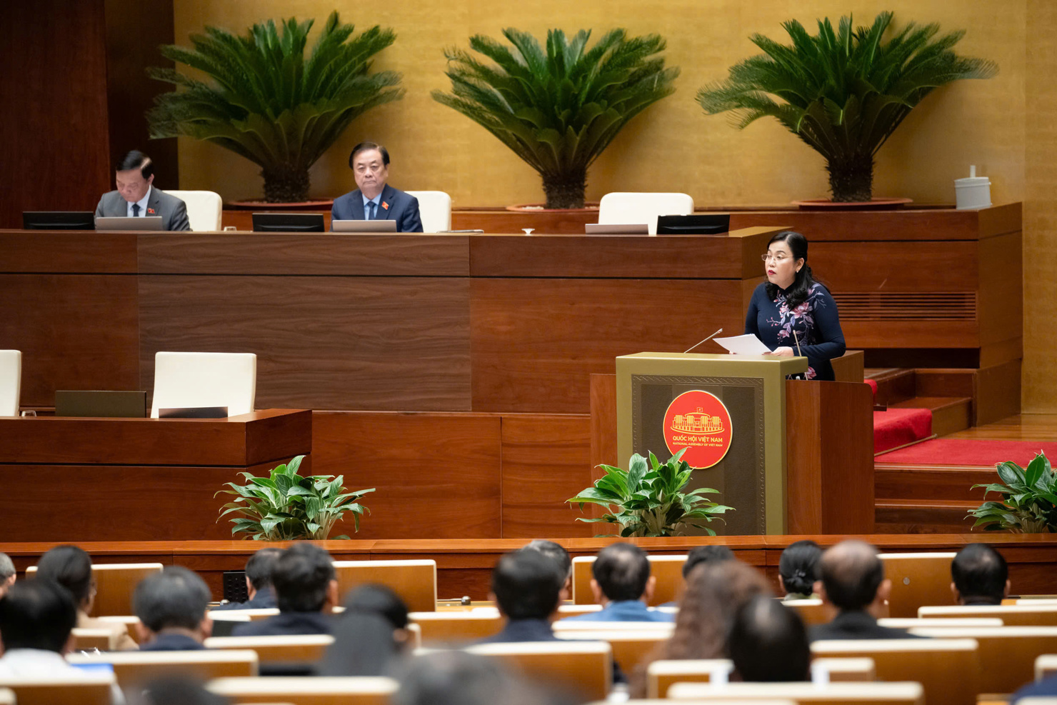 Chủ nhiệm Ủy ban Khoa học, C&ocirc;ng nghệ v&agrave; M&ocirc;i trường Nguyễn Thanh Hải b&aacute;o c&aacute;o thẩm tra.