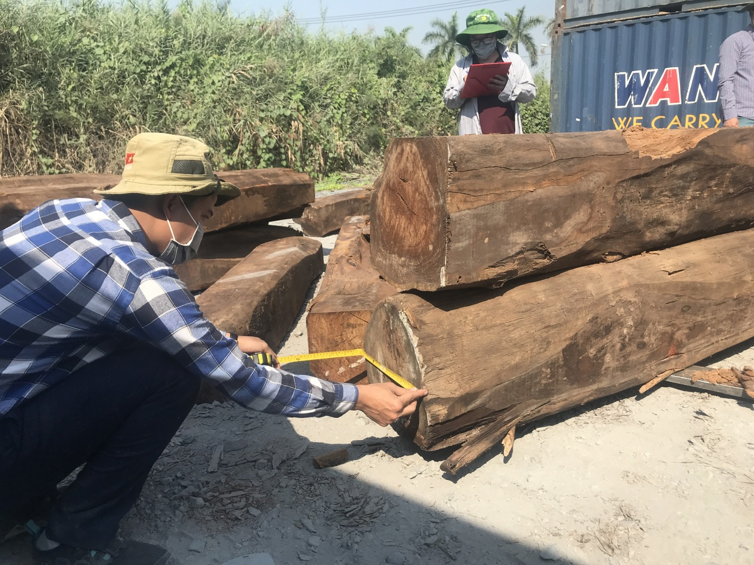 C&aacute;c doanh nghiệp chủ động về nguồn gốc nguy&ecirc;n liệu gỗ chế biến. Ảnh: T.H