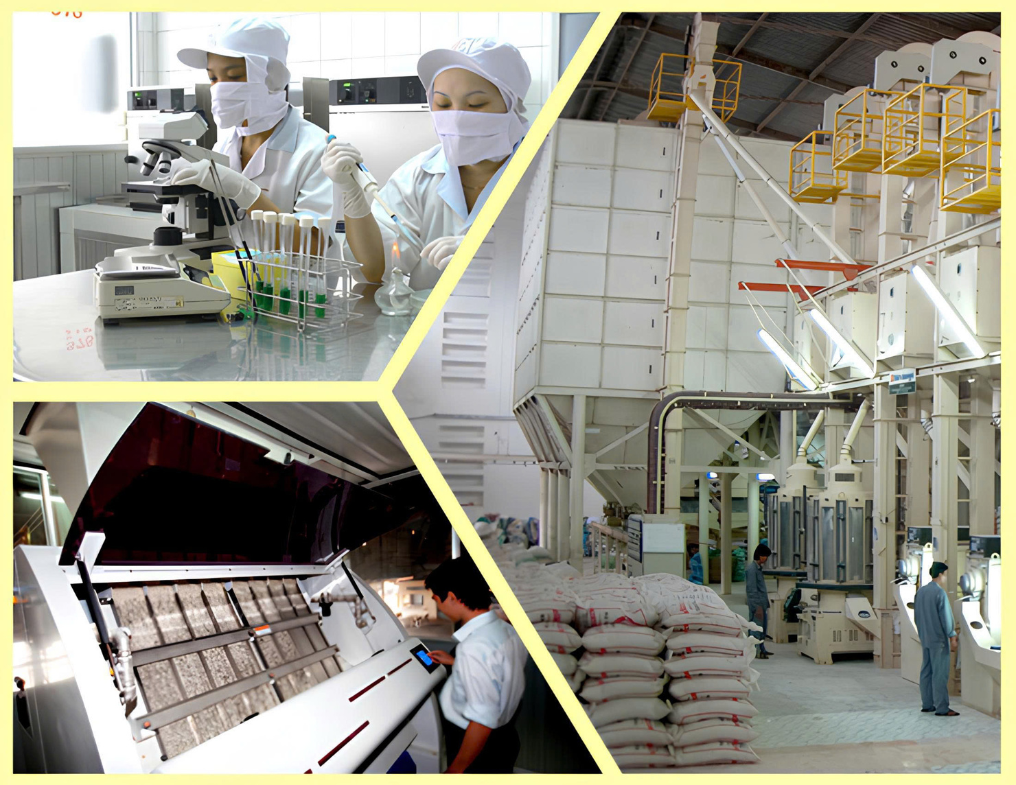 Tăng trưởng doanh thu của AFIEX chủ yếu đến từ sản xuất thức ăn thủy sản v&agrave; lương thức.