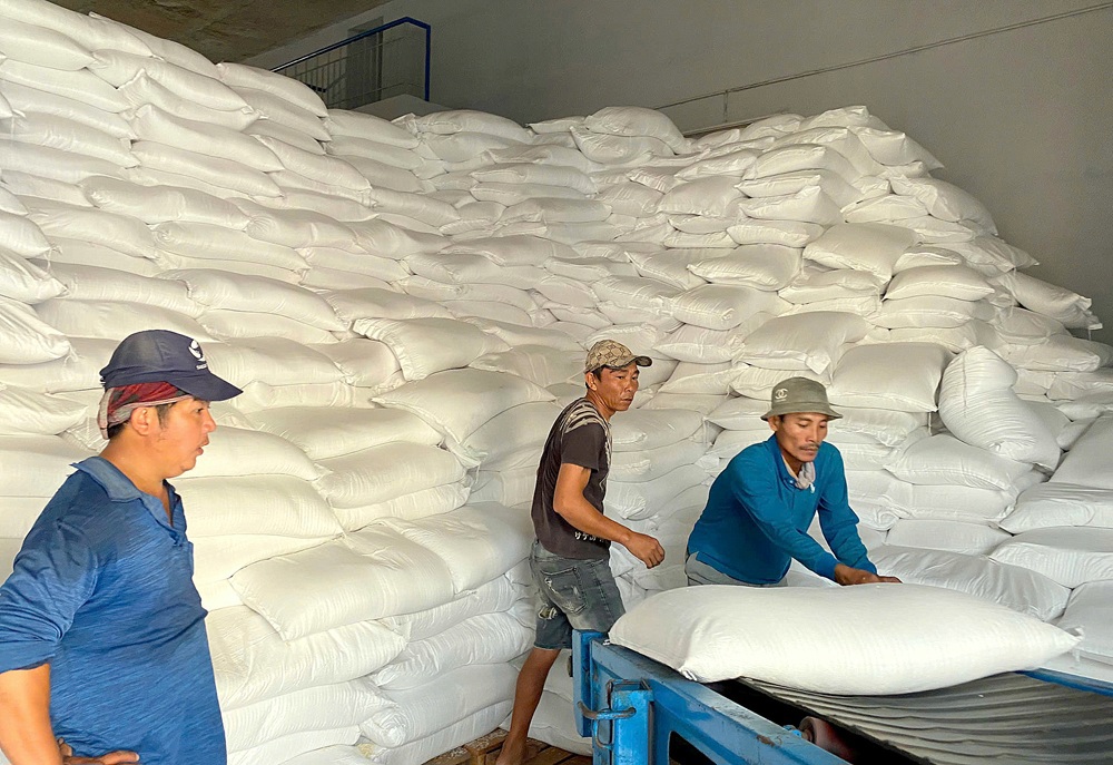 C&ocirc;ng t&aacute;c bốc xếp gạo dự trữ quốc gia tại Cửa kho ĐK1.KV13 - Kho Ninh Đa v&agrave;o s&aacute;ng ng&agrave;y 25/11/2025.