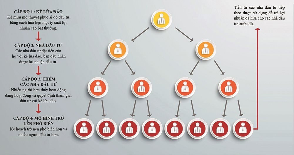 Cơ chế hoạt động của m&ocirc; h&igrave;nh lừa đảo Ponzi.Nguồn: Dimond Kaplan &amp; Rothstein, PA.