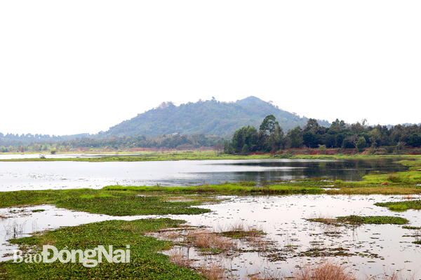 Khu vực hồ Cầu Dầu được TP.Long Khánh quy hoạch phát triển khu dân cư sinh thái kết hợp thương mại dịch vụ rộng 350ha. Ảnh: H.GIANG