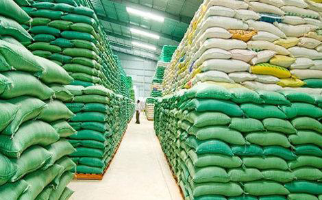 2.924 tỉ đồng cho vay thu mua, tiêu thụ lúa gạo. Ảnh minh họa.