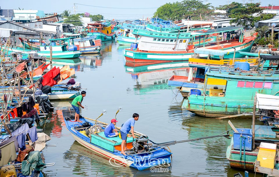 Tại cửa biển vàm Ba Tỉnh, phương tiện khai thác nhỏ ven bờ chiếm đa số. Ảnh: Nguyễn Phú