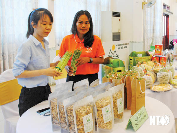 Gian hàng giới thiệu sản phẩm của Hợp tác xã Dịch vụ nông nghiệp Châu Rế tại tại một hội nghị. Ảnh: Anh Tùng