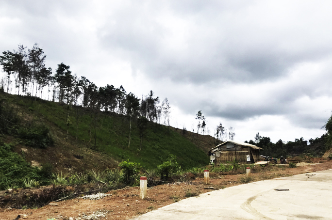 Thiếu đất sản xuất, nhiều hộ đồng bào dân tộc thiểu số ở huyện Khánh Vĩnh lấn chiếm đất rừng để canh tác. Ảnh: HL