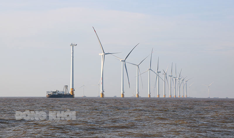 Thi công điện gió tại vùng biển thuộc tỉnh Bến Tre. Ảnh: T.Thảo