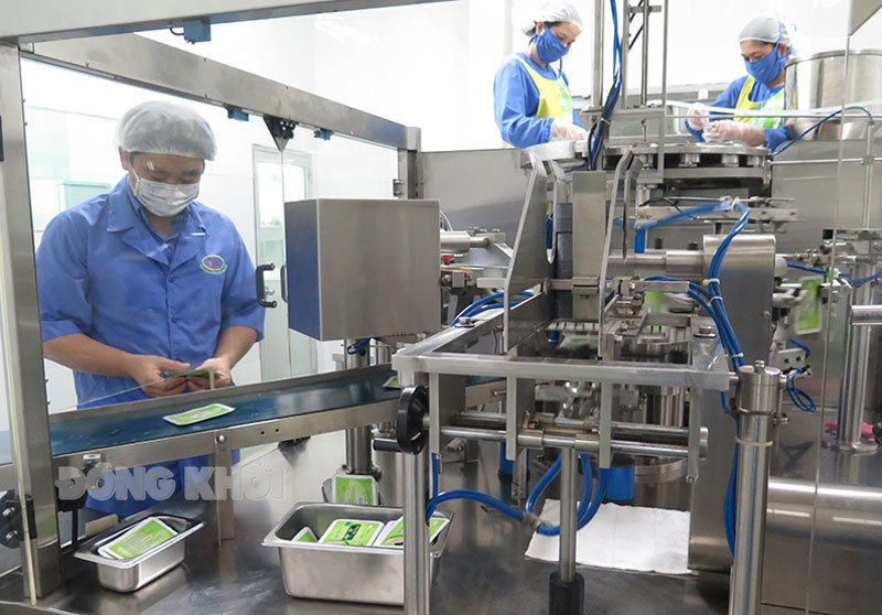 Sản xuất mặt nạ dừa tại Công ty TNHH Chế biến sản phẩm dừa Cửu Long, Phường 8, TP. Bến Tre. Ảnh: Thạch Thảo