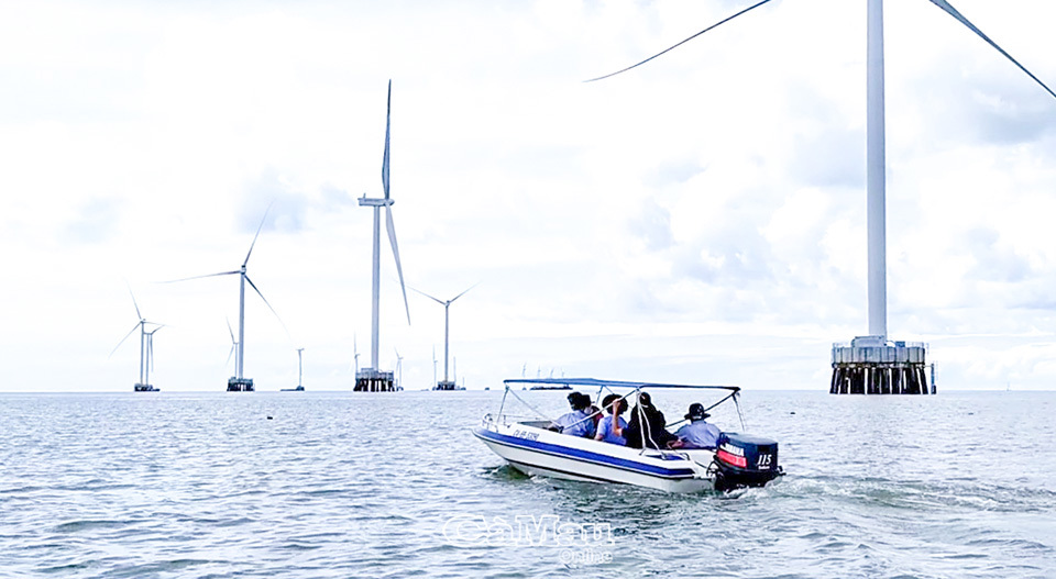 Cà Mau đã vận hành thương mại 3 dự án điện gió, với tổng công suất 100MW. Ảnh: Phong Phú