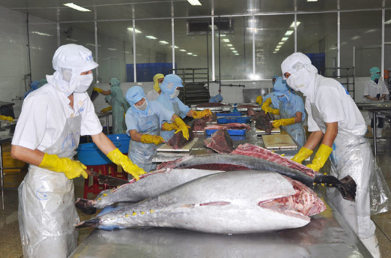 Chế biến hải sản xuất khẩu tại Công ty CP Bá Hải. Ảnh: Hoài Sơn