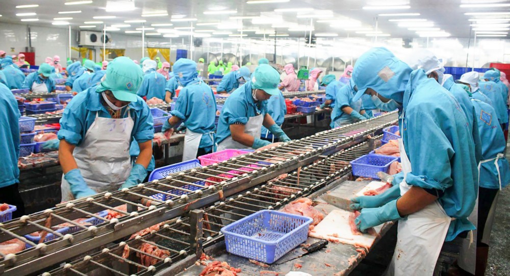 Chế biến thủy sản xuất khẩu tại một doanh nghiệp trên địa bàn TP Cần Thơ. Ảnh: Khánh Trung